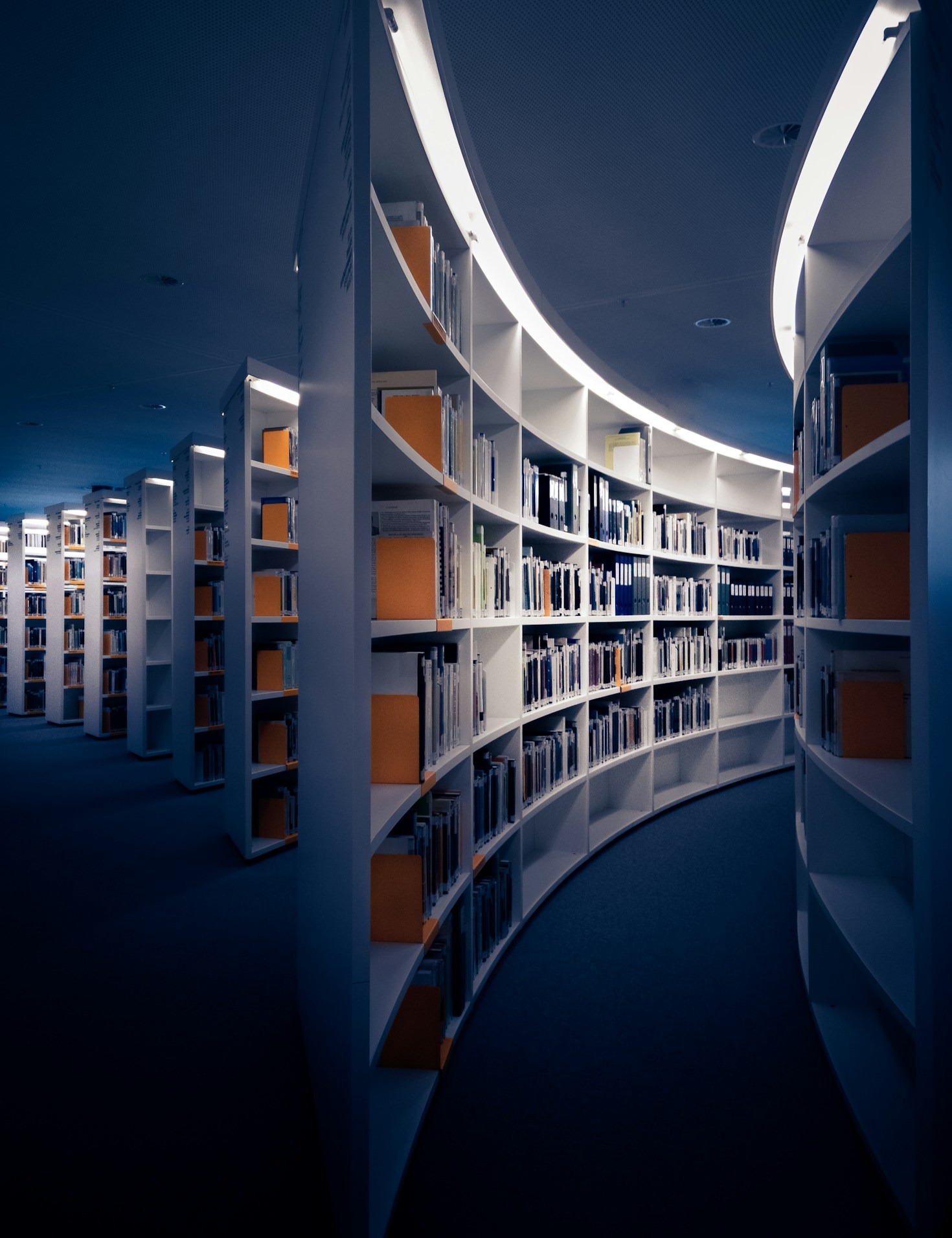 5 Reasons Digital Libraries Are the Future